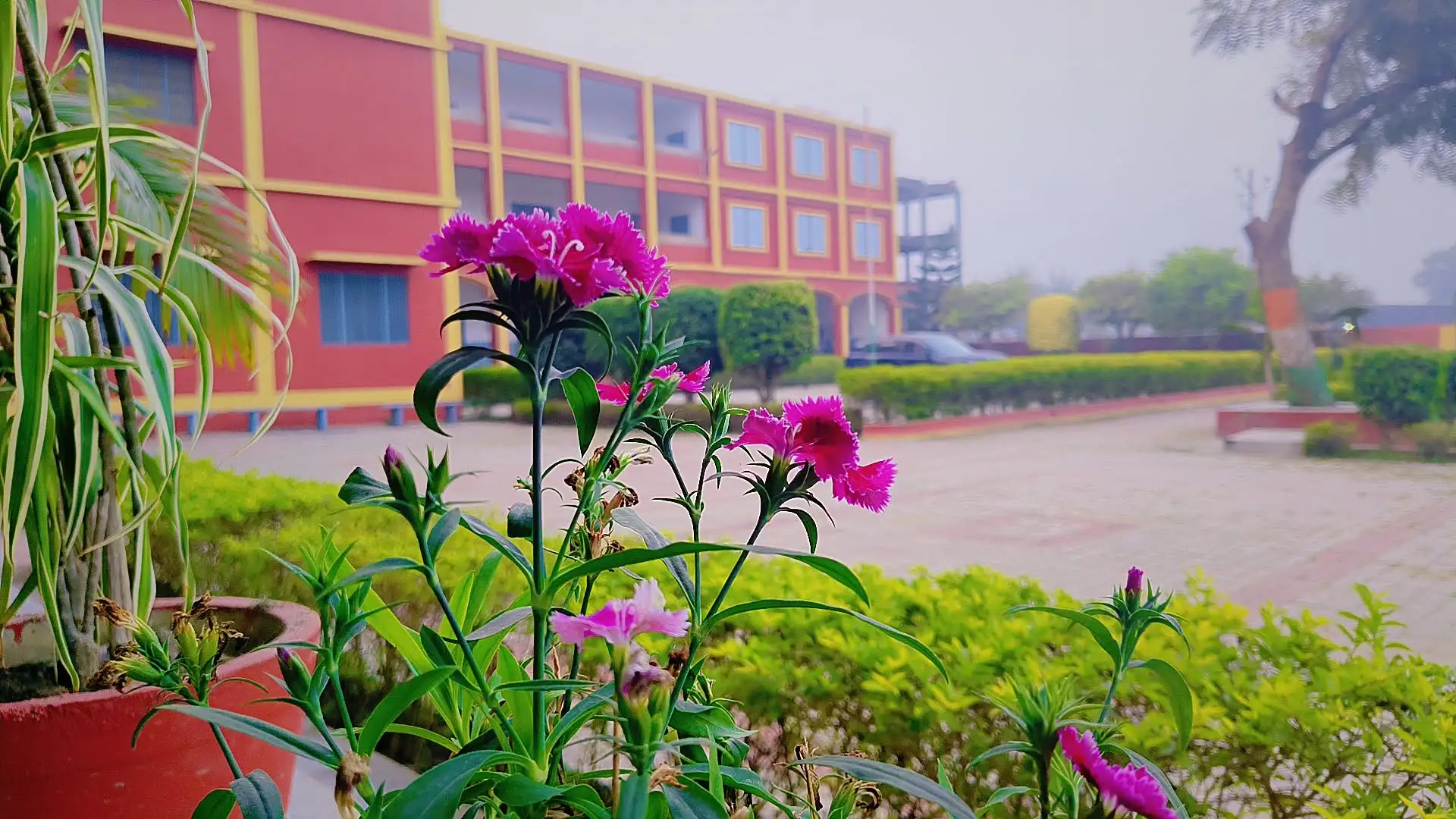 College Campus