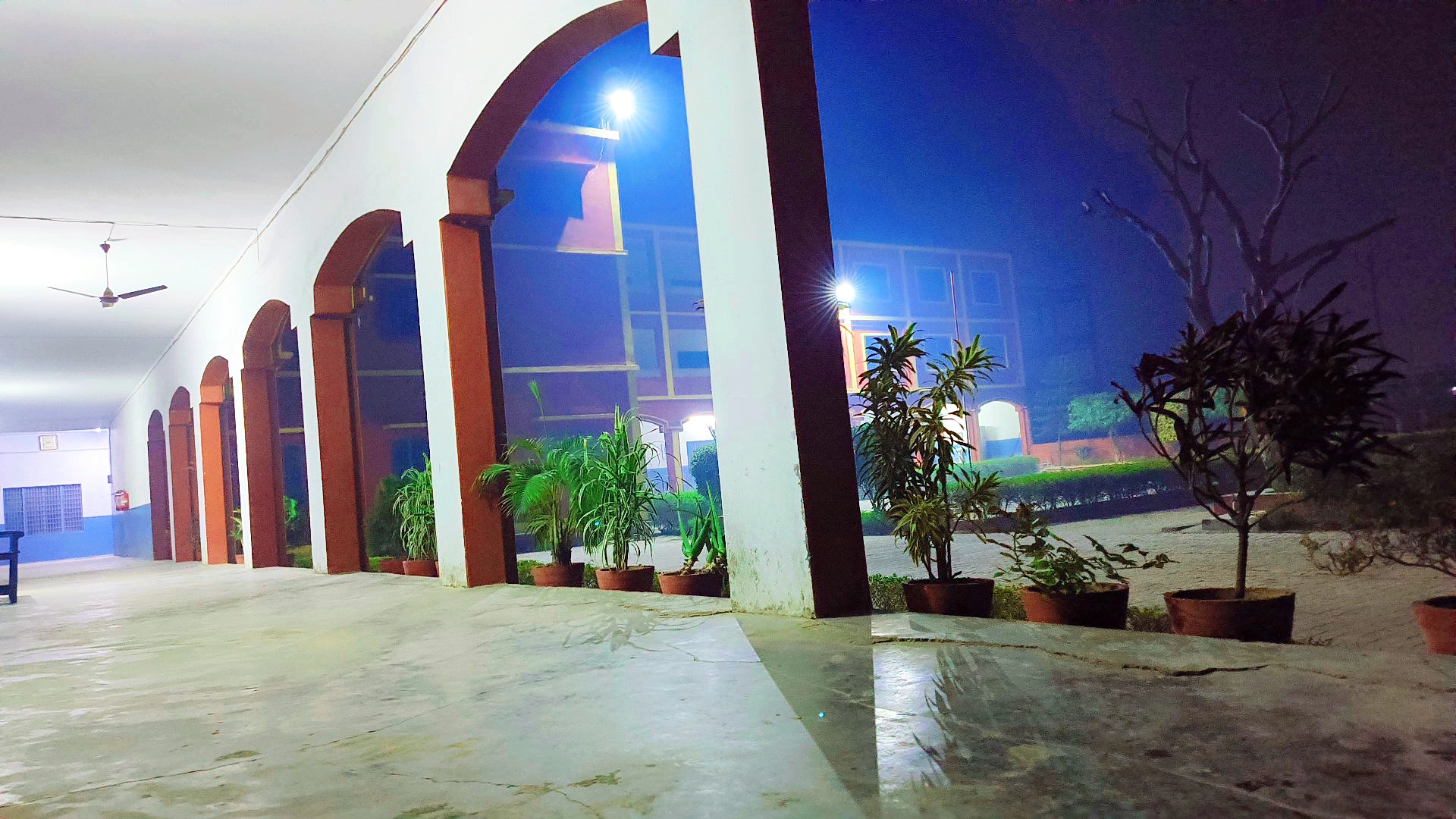 Campus Environment